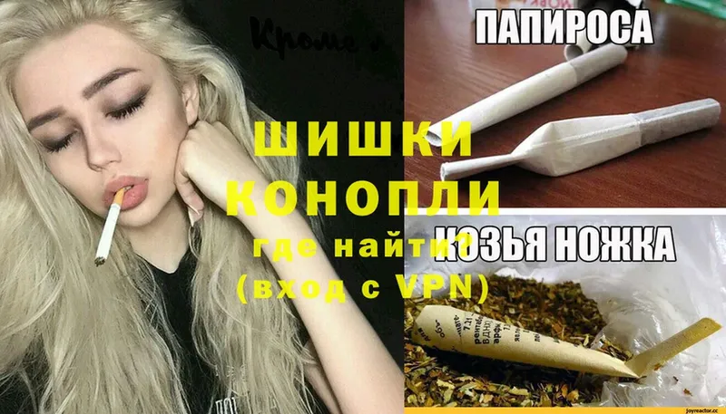 MEGA вход  Зеленоградск  Бошки марихуана OG Kush 